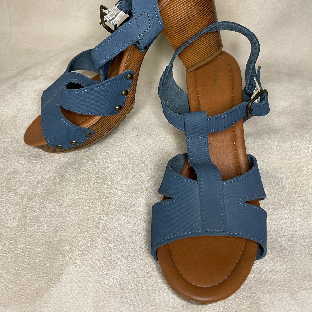 Andrea heels shoes